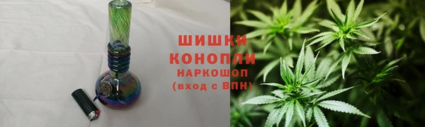 ПСИЛОЦИБИНОВЫЕ ГРИБЫ Абаза