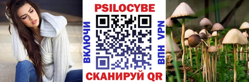 Псилоцибиновые грибы GOLDEN TEACHER  наркота  Тамбов 